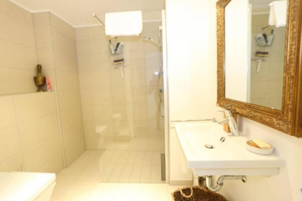 Large Family Retro Flat In City Center- Large Terrace & Garden View, Free Parking Luxembourg Exterior photo
